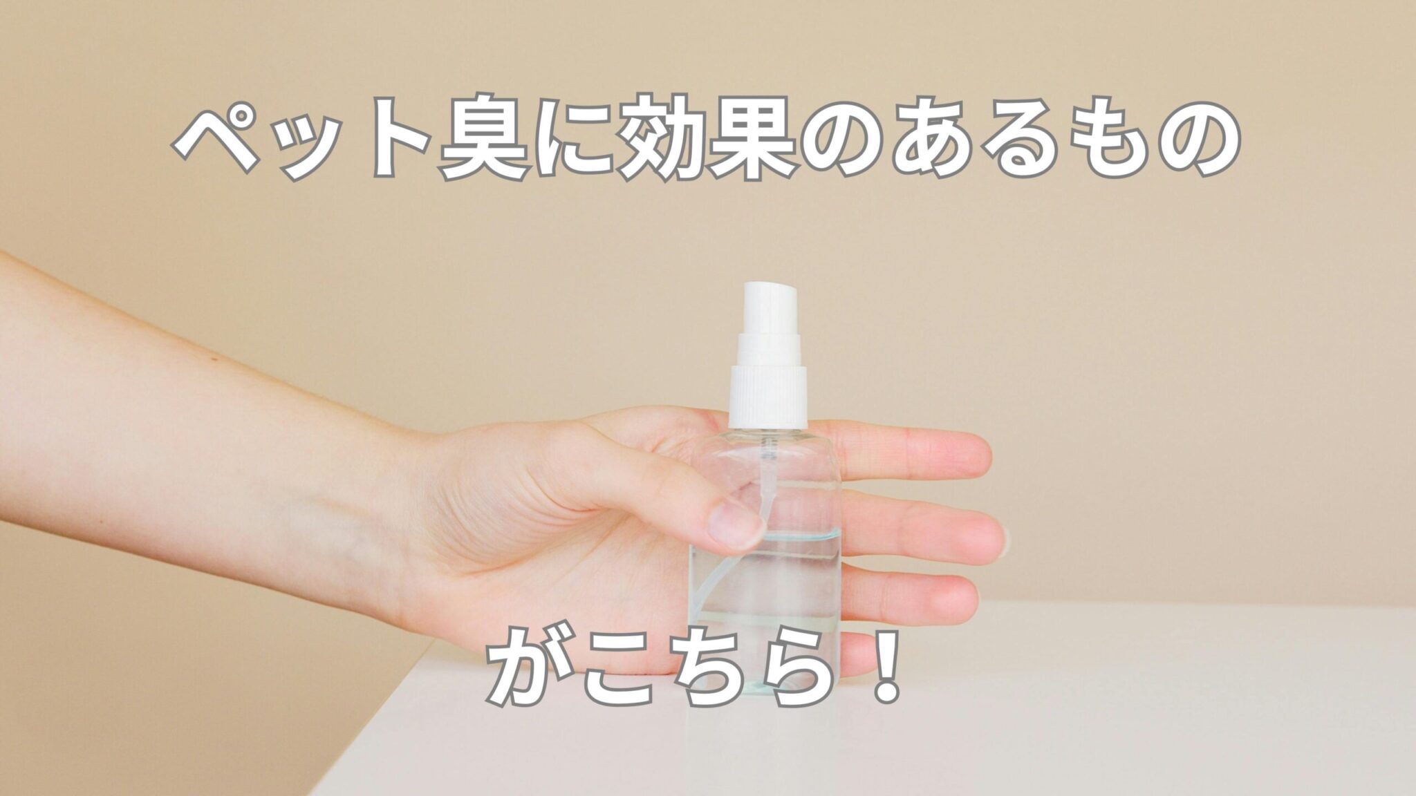 【ペット臭】に効果のあるものがこちら! - ペット役立ち情報サイト